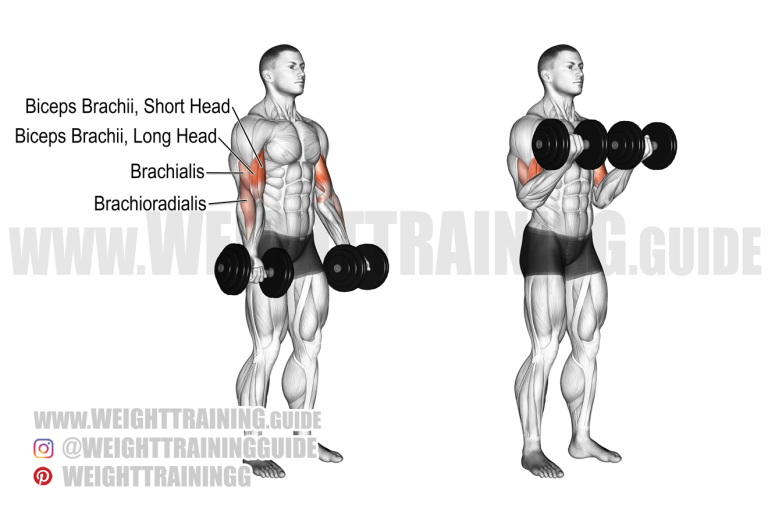 Guide to Weightlifting Workouts